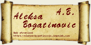 Aleksa Bogatinović vizit kartica